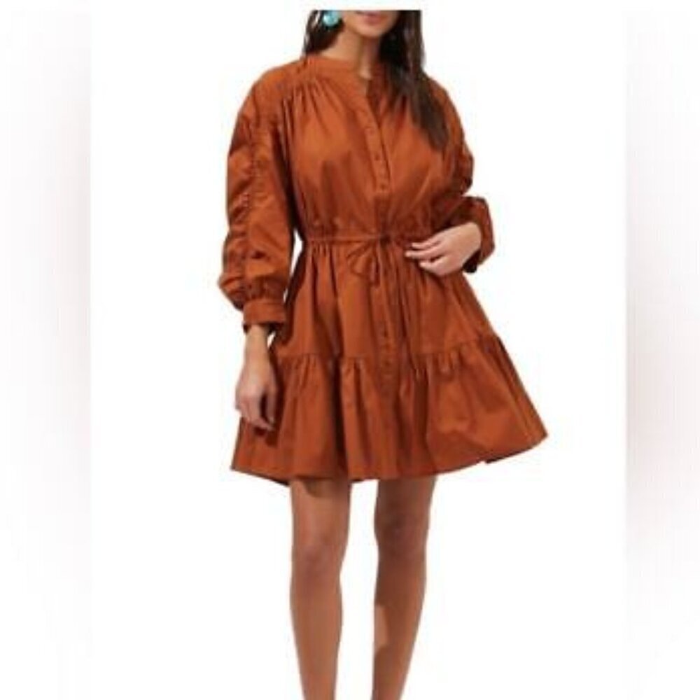 Astr The Label Small Ruched Flounce Shirtdress Long Sleeve Buttoned Cognac